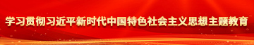 美女做鸡网站免费看学习贯彻习近平新时代中国特色社会主义思想主题教育